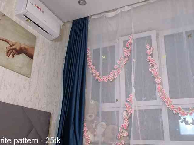 IamStella webcam