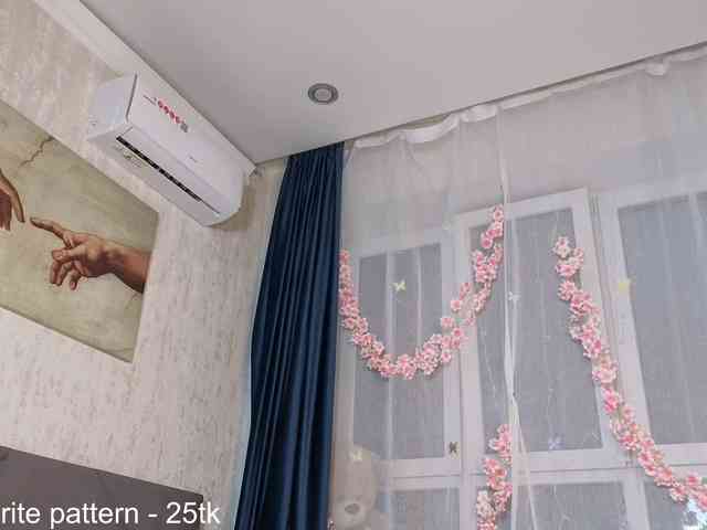 IamStella webcam