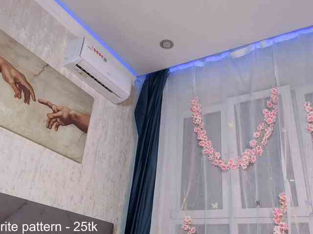 IamStella webcam