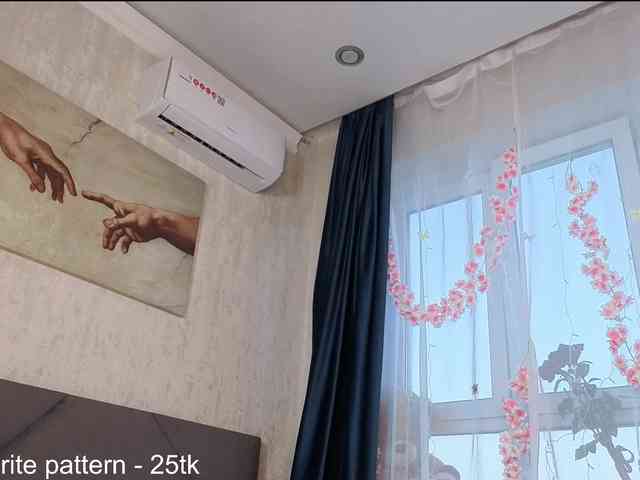 IamStella webcam