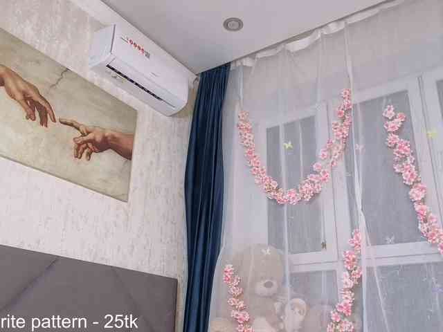 IamStella webcam