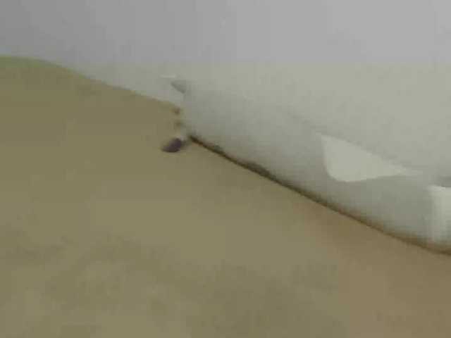 OnitaBreeland live cam on BongaCams