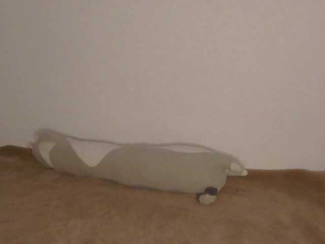OnitaBreeland live cam on BongaCams