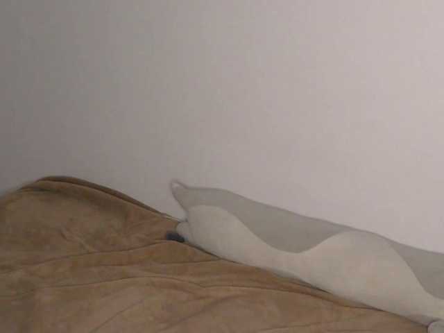 OnitaBreeland live cam on BongaCams