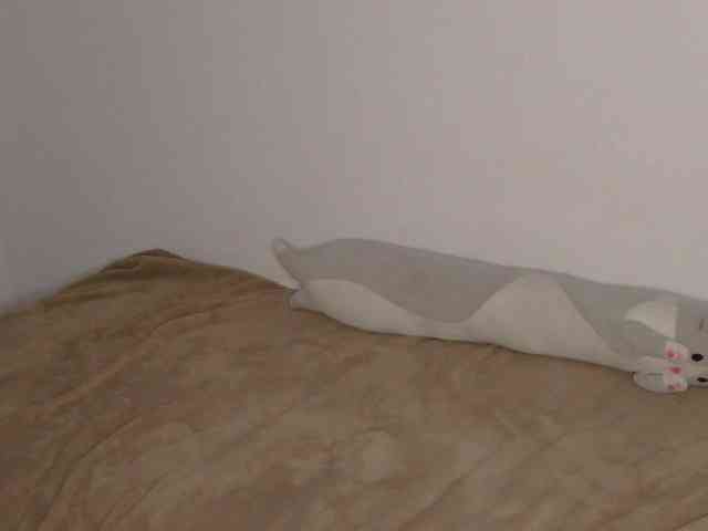 OnitaBreeland webcam