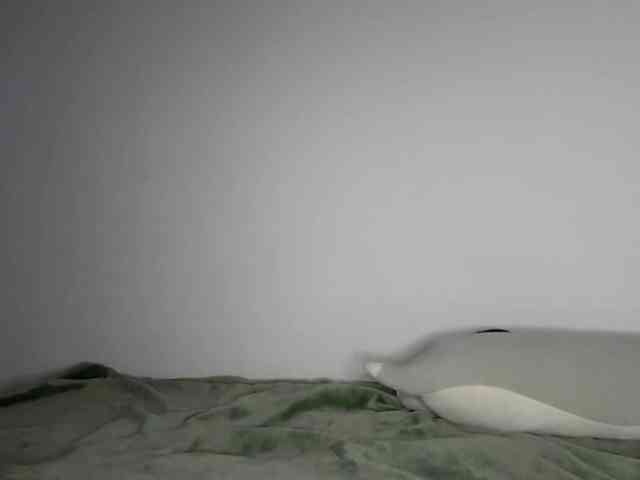 OnitaBreeland webcam