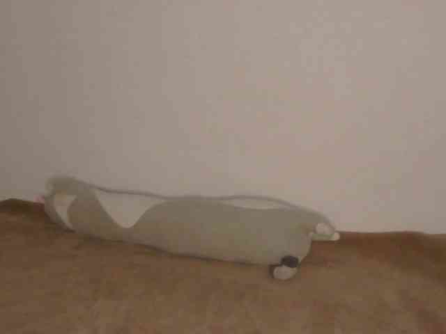 OnitaBreeland webcam