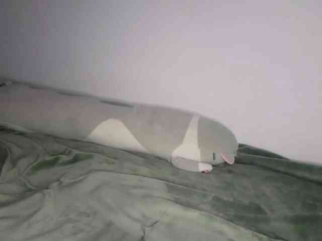 OnitaBreeland webcam
