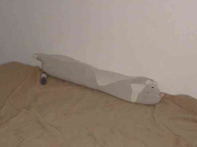 OnitaBreeland webcam