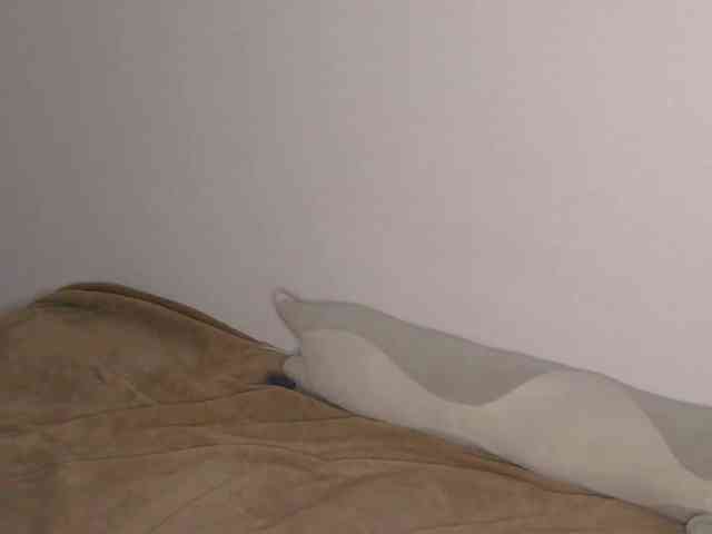 OnitaBreeland webcam