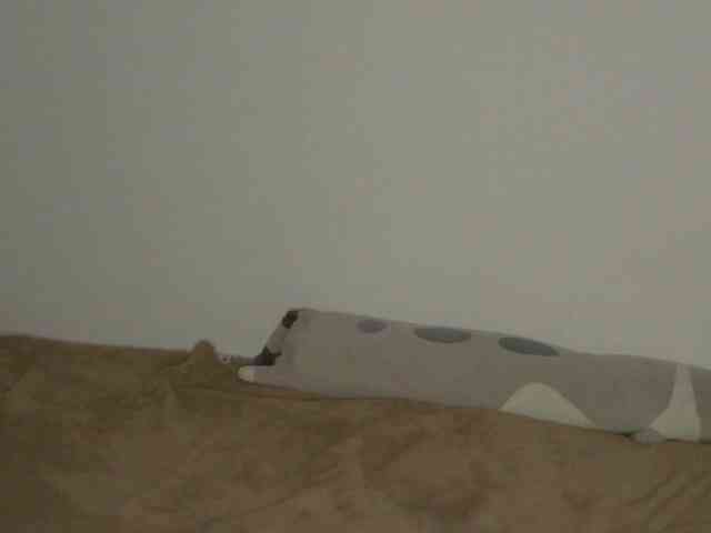 OnitaBreeland webcam