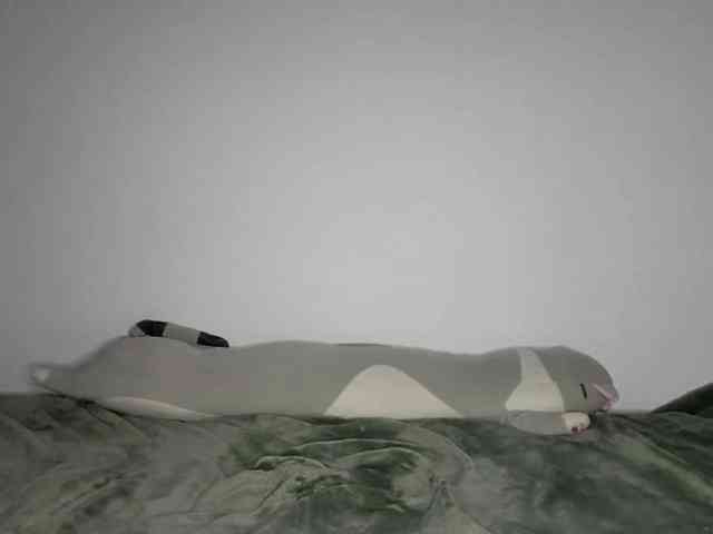 OnitaBreeland webcam