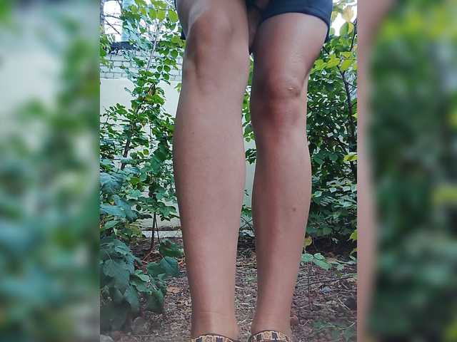 Sandra26a