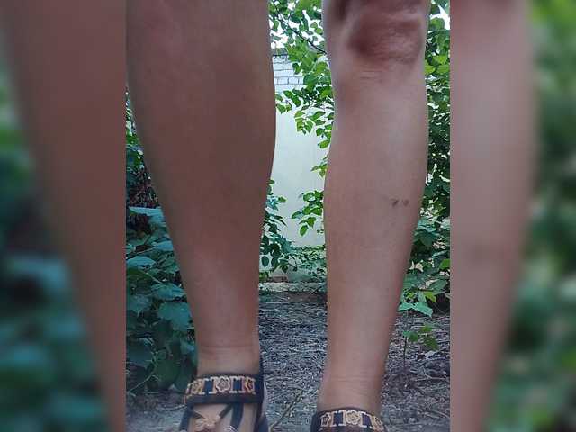 Sandra26a