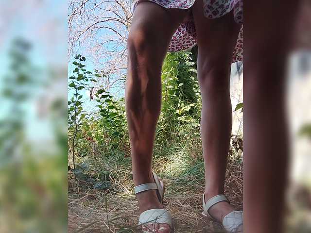 Sandra26a