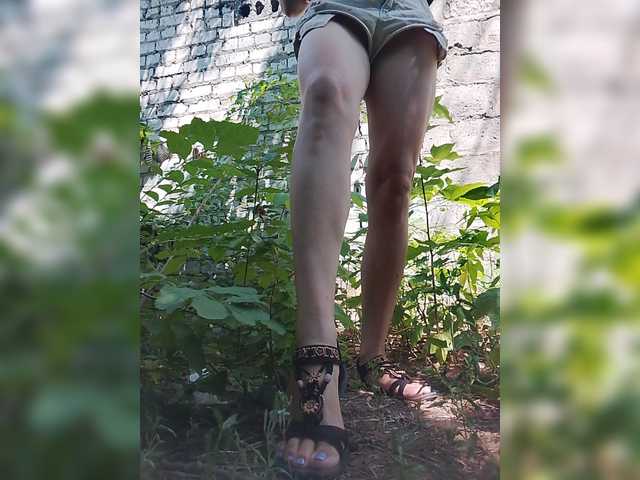 Sandra26a