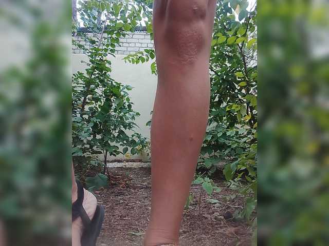 Sandra26a
