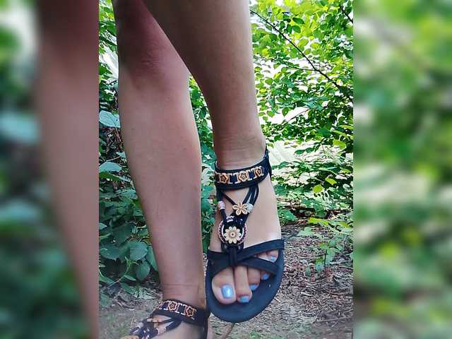 Sandra26a