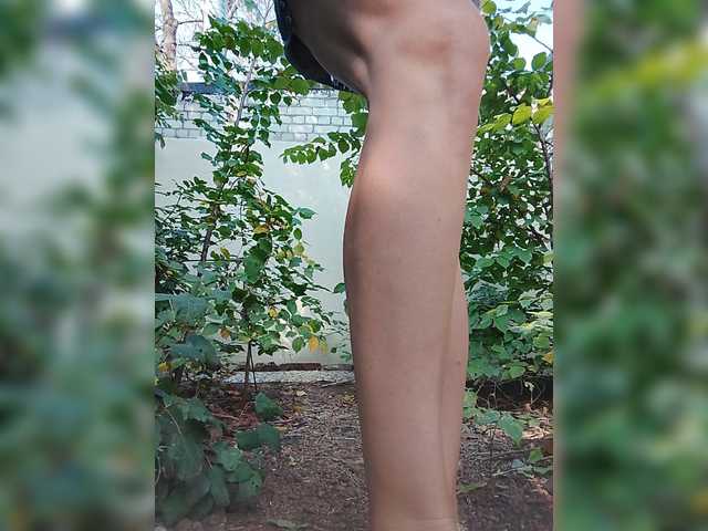Sandra26a live cam preview