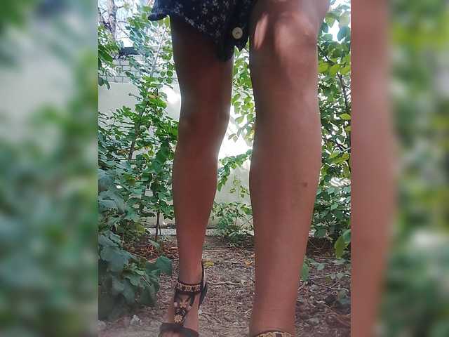 Sandra26a