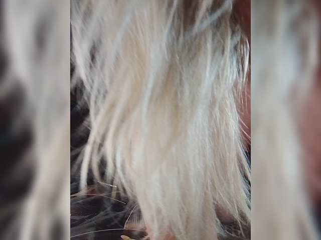 Sandra26a
