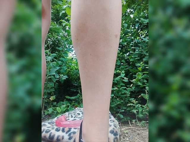 Sandra26a