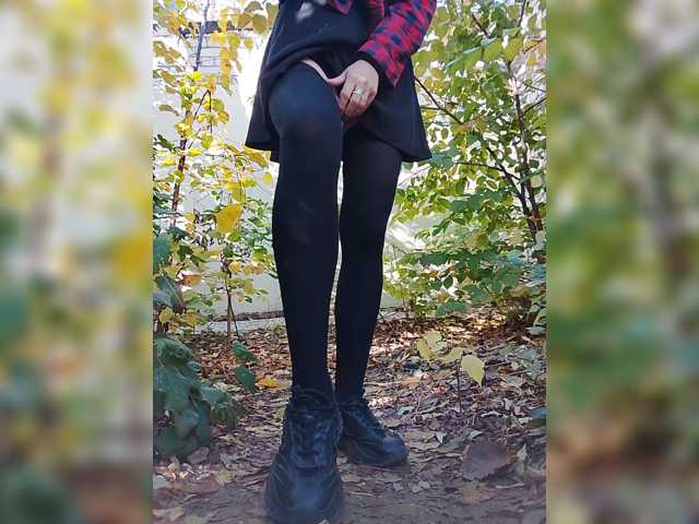 Sandra26a