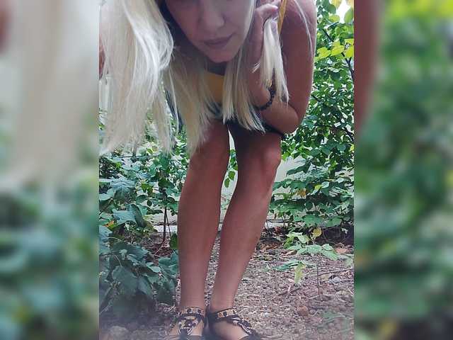 Sandra26a