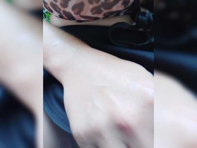 Sandra26a
