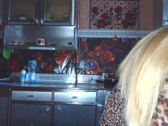 Sandra26a webcam