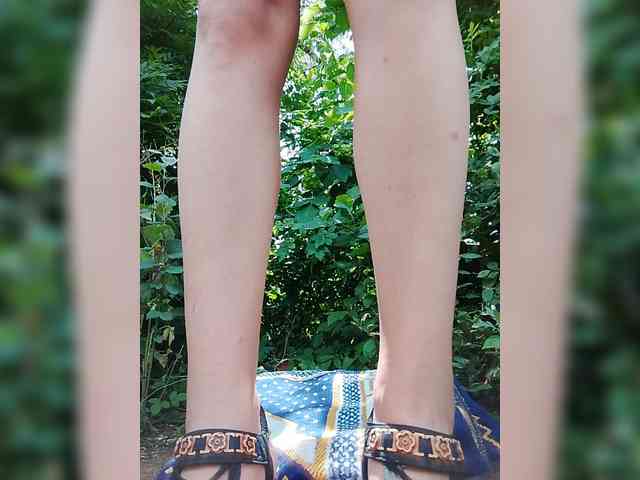 Sandra26a