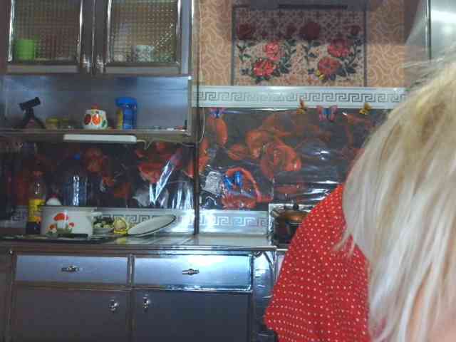 Sandra26a webcam