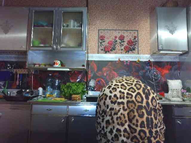 Sandra26a