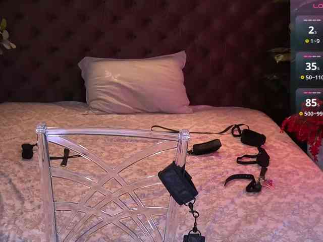 TorryStar webcam