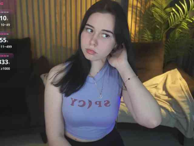 TorryStar webcam