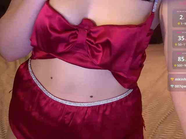 TorryStar webcam
