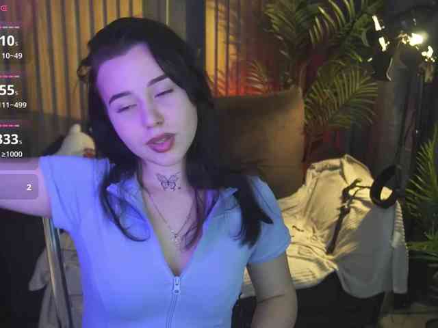 TorryStar webcam