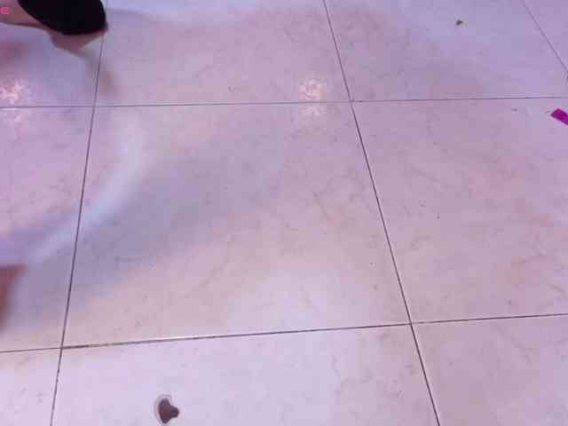 niky-and-French webcam