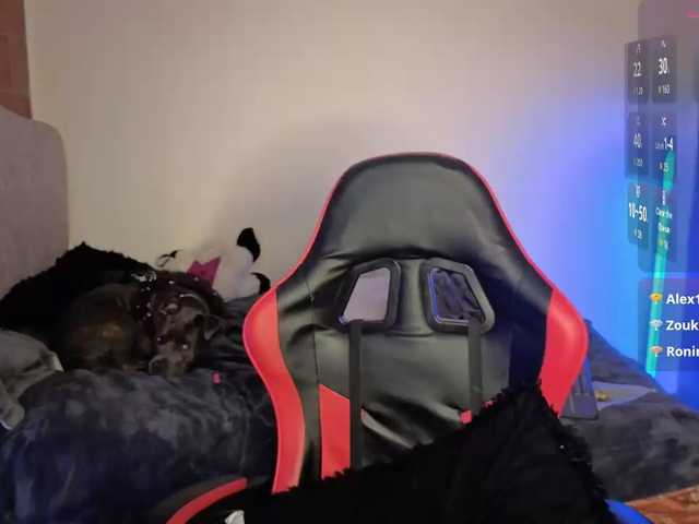 MaloryTay11 live cam on BongaCams