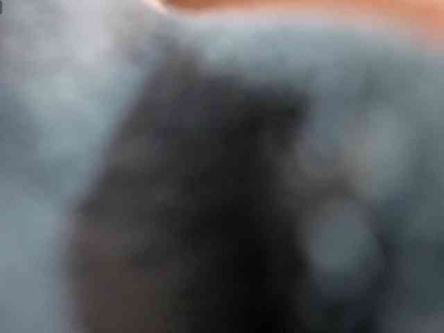 Modelo: MaloryTay11