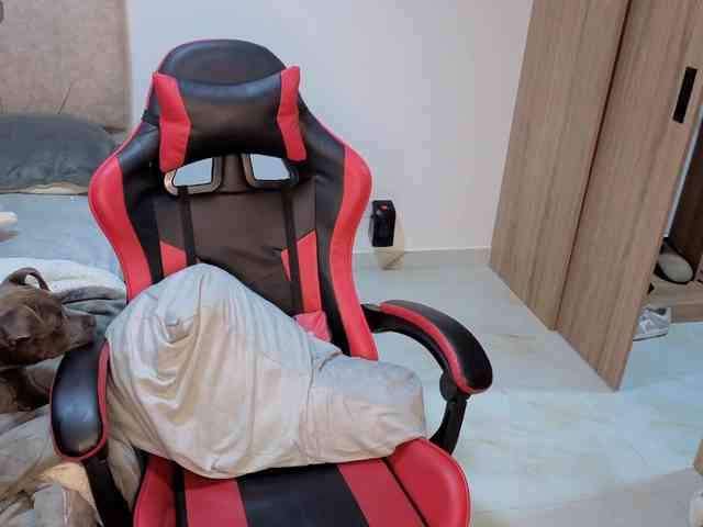 MaloryTay11