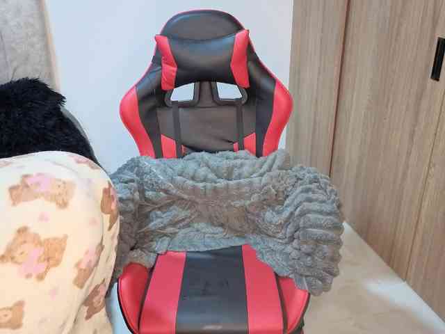MaloryTay11