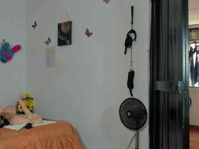 mollyandshane webcam