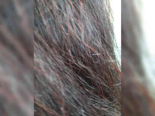 Mariza0835 webcam