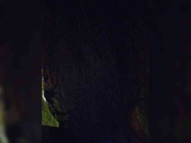 Mariza0835 webcam