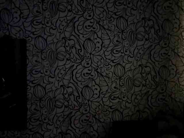 CamilaCarnegia webcam