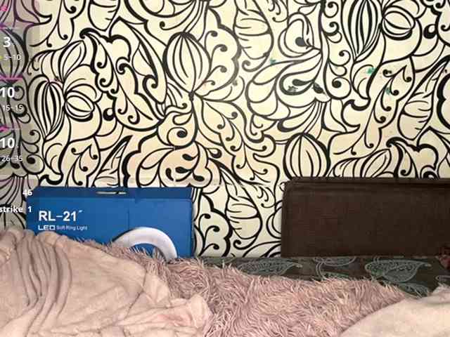 CamilaCarnegia webcam
