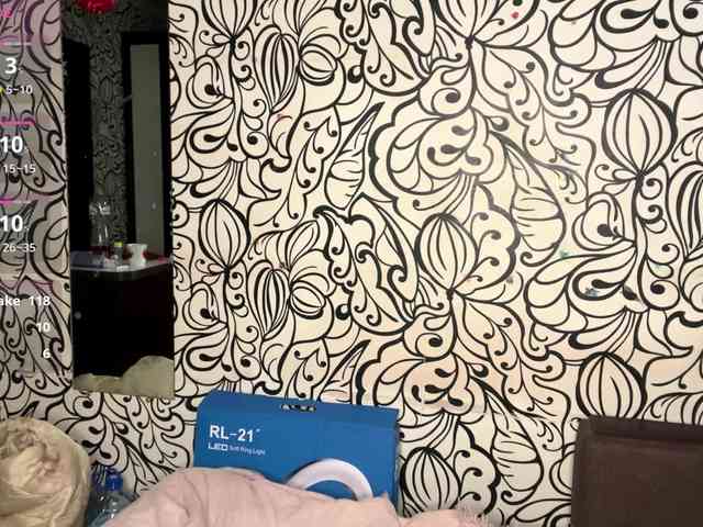 CamilaCarnegia webcam