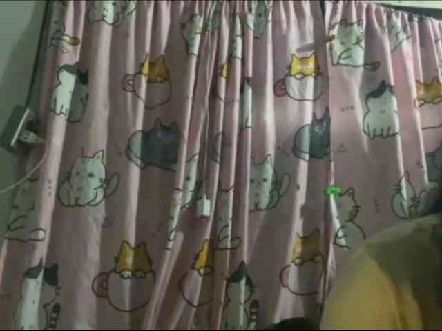 SumikoFyffe webcam