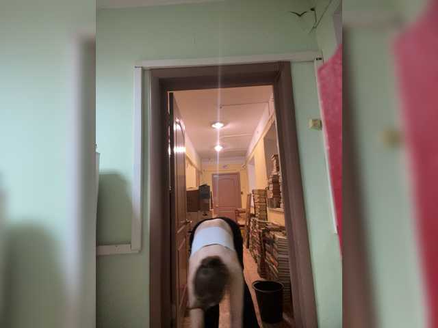 alina08's BongaCams show and profile